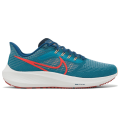 Nike Air Zoom Pegasus 39