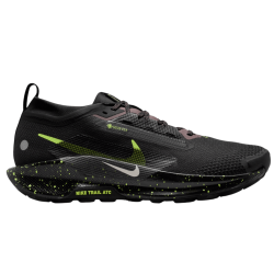 Nike Pegasus Trail 5 GORE-TEX