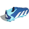 Adidas Predator Accuracy.3 Low FG