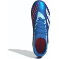 Adidas Predator Accuracy.2 FG