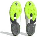 Adidas Predator Accuracy.1 Low AG