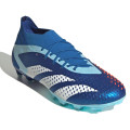 Adidas Predator Accuracy.1 AG