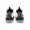 Nike Air Jordan Reign