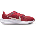 Nike Pegasus 40