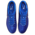 Nike Tiempo Legend 10 Academy FG/MG