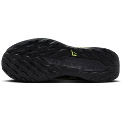 Nike Pegasus Trail 5 GORE-TEX