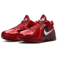 Nike Zoom KD III