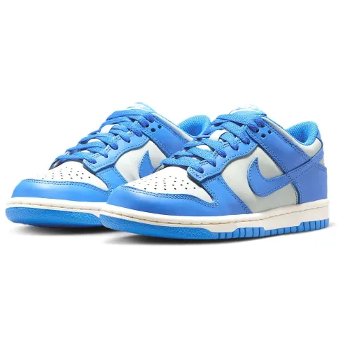 Nike Dunk Low (gs)