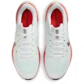 Nike Air Zoom Pegasus 41