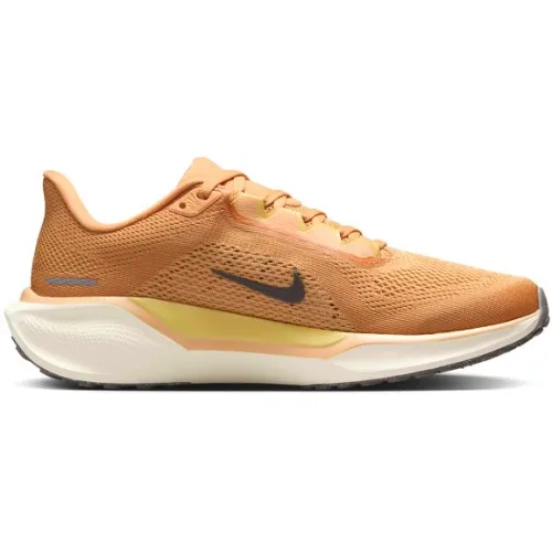 Nike Air Zoom Pegasus 41