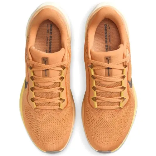 Nike Air Zoom Pegasus 41