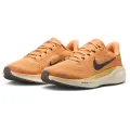 Nike Air Zoom Pegasus 41