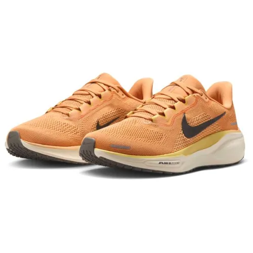 Nike Air Zoom Pegasus 41