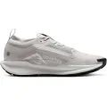 Nike Pegasus Trail 5 GTX