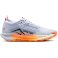 Nike Pegasus Trail 5 GORE-TEX