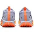 Nike Pegasus Trail 5 GORE-TEX
