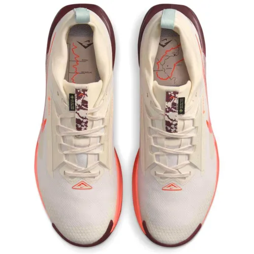 Nike Pegasus Trail 5 GORE-TEX