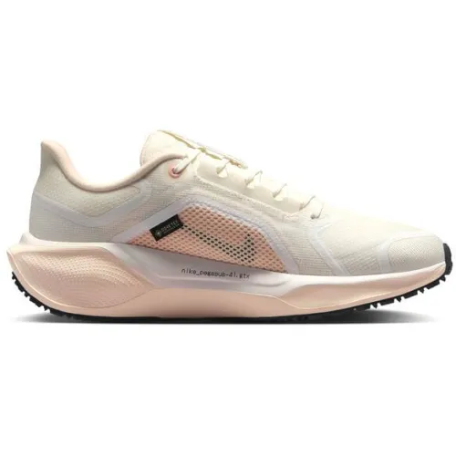 Nike Air Zoom Pegasus 41 GORE-TEX