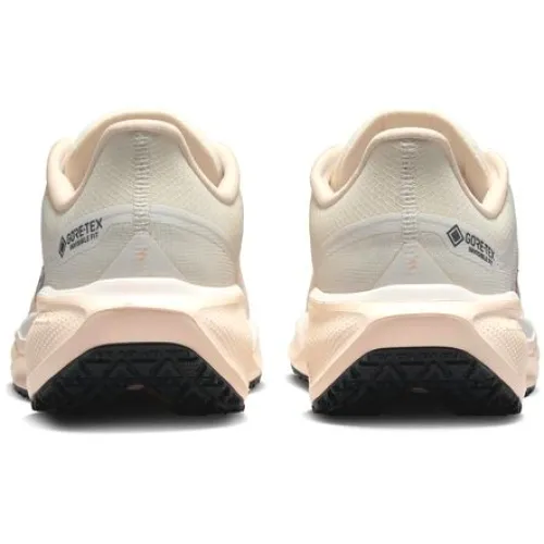 Nike Air Zoom Pegasus 41 GORE-TEX