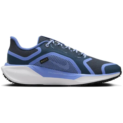 Nike Air Zoom Pegasus 41 GTX