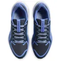 Nike Air Zoom Pegasus 41 GTX