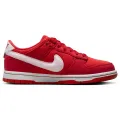 Nike Dunk Low (gs)