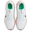 Nike Air Zoom Pegasus 41 EK