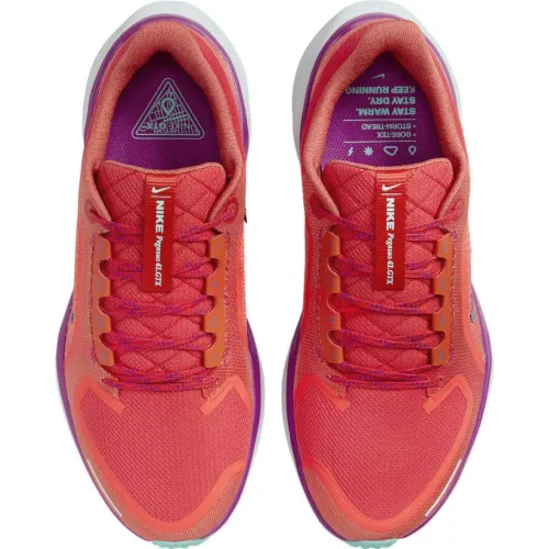 Nike Air Zoom Pegasus 41 GTX