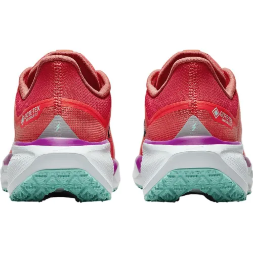 Nike Air Zoom Pegasus 41 GTX