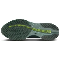 Nike Pegasus Premium