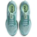 Nike Pegasus Premium