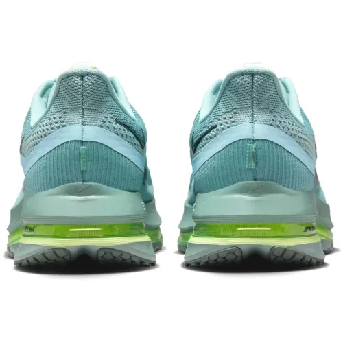 Nike Pegasus Premium