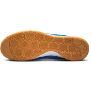 Nike Gato IC