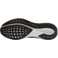 Nike Air Zoom Pegasus 41