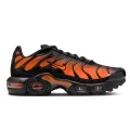 Nike Air Max Plus (gs)
