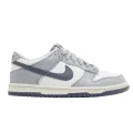 Nike Dunk Low (gs)