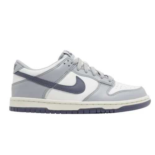Nike Dunk Low (gs)