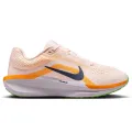 Nike Winflo 11