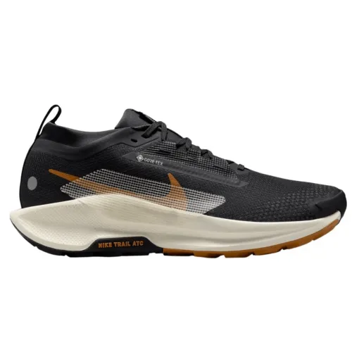 Nike Pegasus Trail 5 GTX
