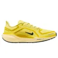 Nike Air Zoom Pegasus 41 GTX