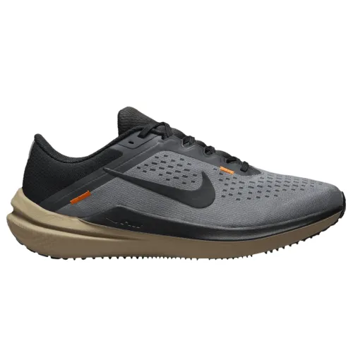 Nike Winflo 10