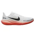 Nike Air Zoom Pegasus 41 EK