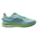 Nike Pegasus Premium